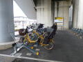 さいたま市大宮区「鉄道博物館」駅 Parking in 鉄道博物館前駐輪場 画像3