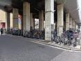 江戸川区「小岩」駅 Parking in 小岩駅東駐輪場 画像3